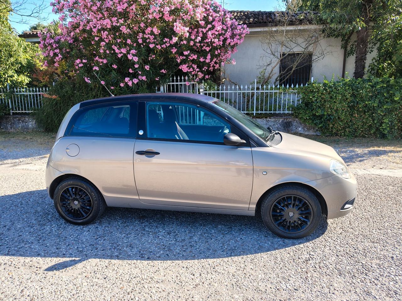 Lancia Ypsilon 1.4 Oro Ecochic GPL. NEOPATENTATI