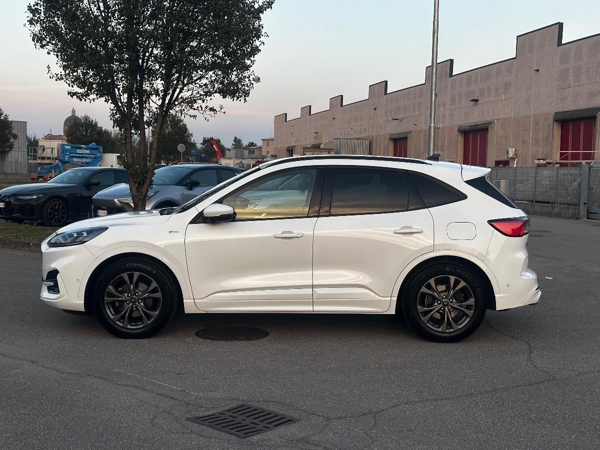 FORD - Kuga - 1.5 TDCI 120CV S&S 2WD ST-Line Bus.