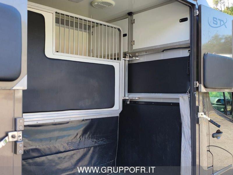 Opel Movano STX 35 2.2 BlueHDi 165 PLM-SL 3p. TRASPORTO CAVALLI - NETTO IVA