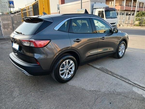 FORD KUGA 1.5 EcoBlue 120 CV S&S TITANIUM BUSINESS AUTOMATICO