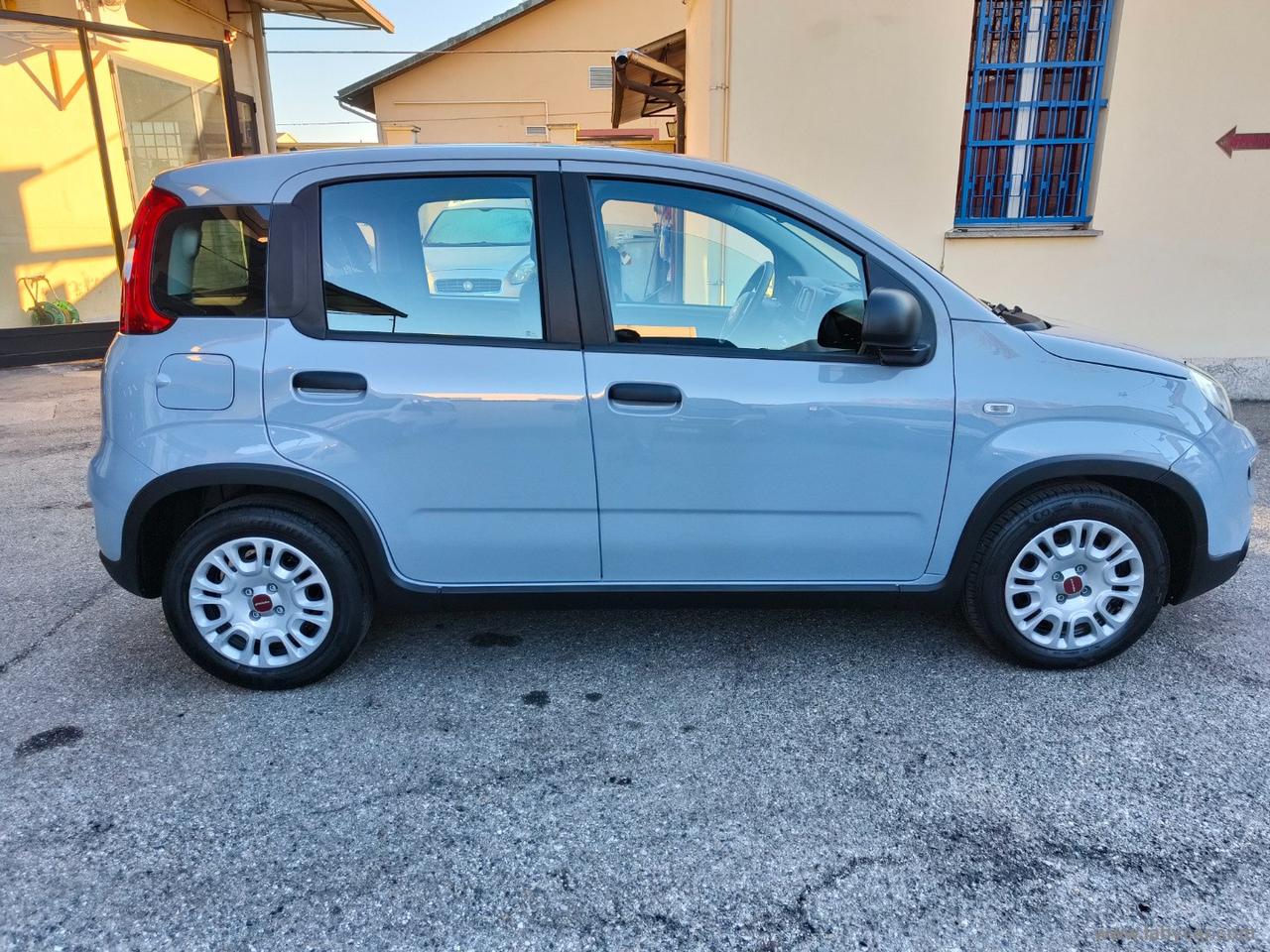 FIAT Panda 1.0 FireFly S&S Hybrid NO VINCOLI