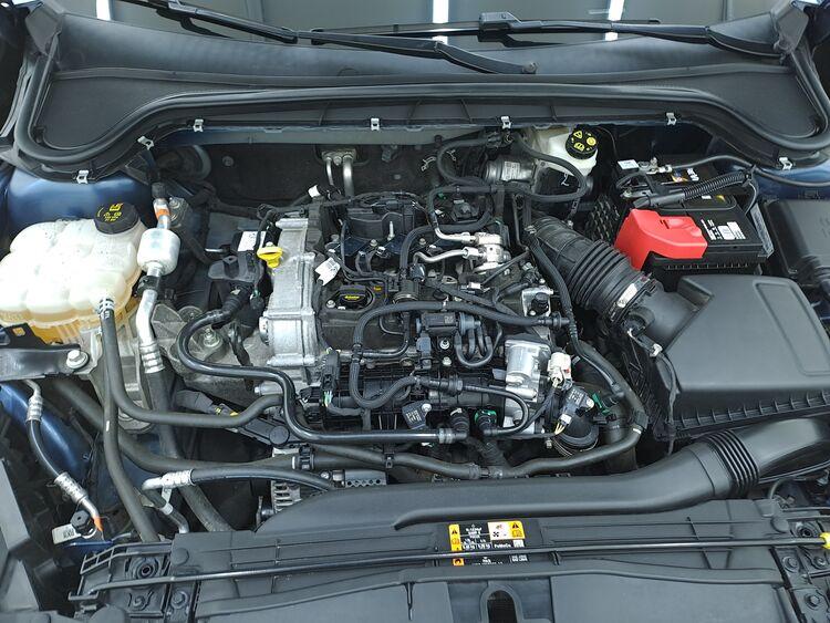 Ford Focus Hybrid Active X BR435511 1.0 Mild Hybrid 125CV