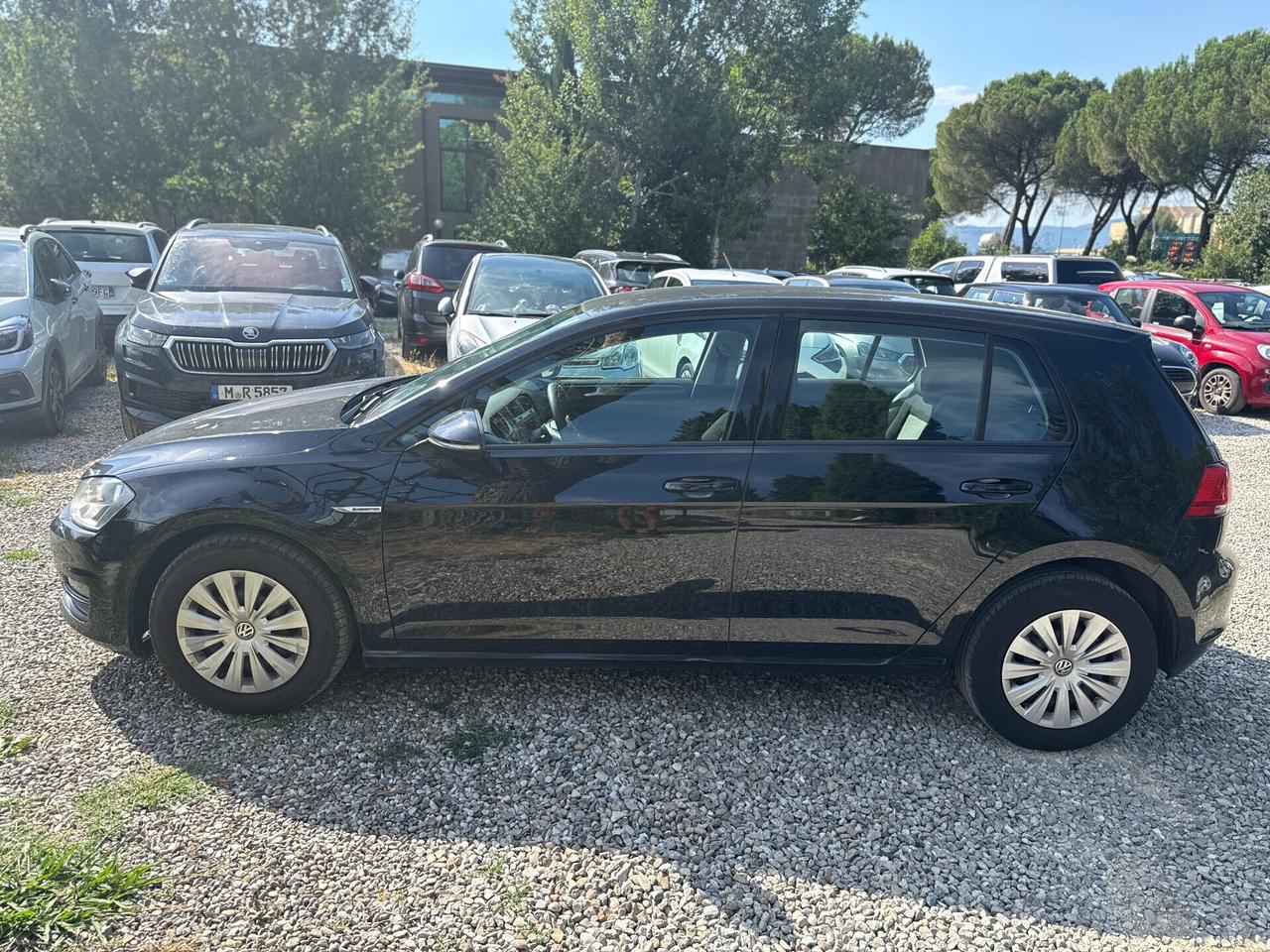 Volkswagen Golf 1.4 TGI 5p. Trendline BlueMotion