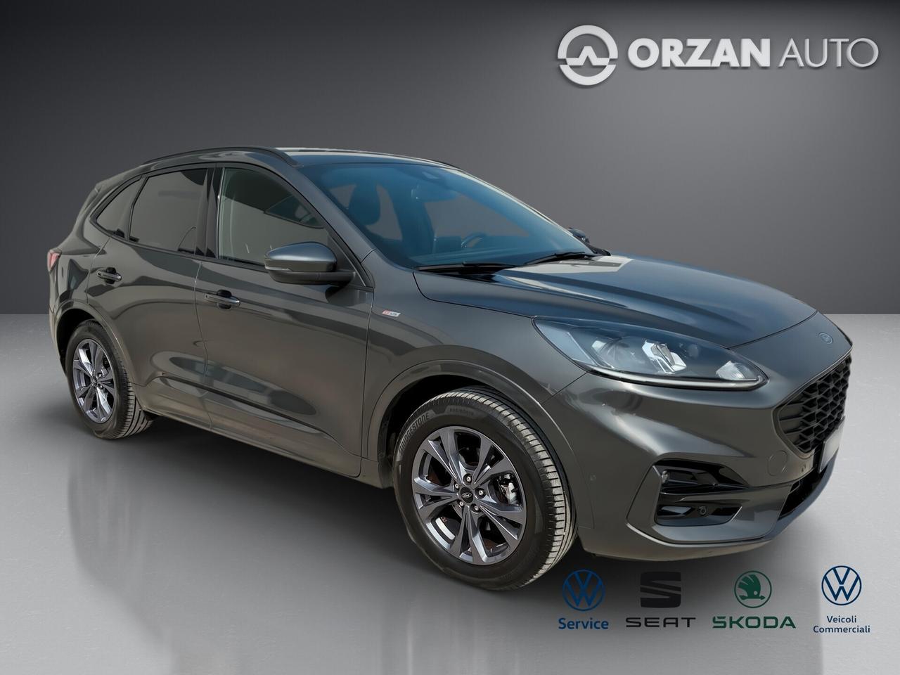 Ford Kuga 2.0 EcoBlue 190 CV aut. AWD ST-Line X DIRETTO VENDITE: CELL VENDITE 3491558563 - 3478673115