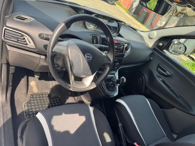 LANCIA Ypsilon 1.2 69 CV 5 porte Elefantino