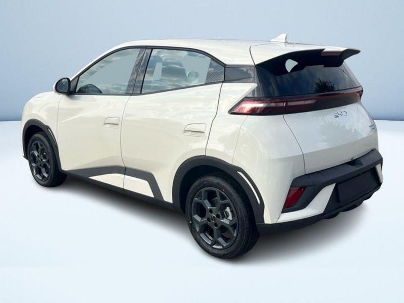 BYD Dolphin Surf Comfort