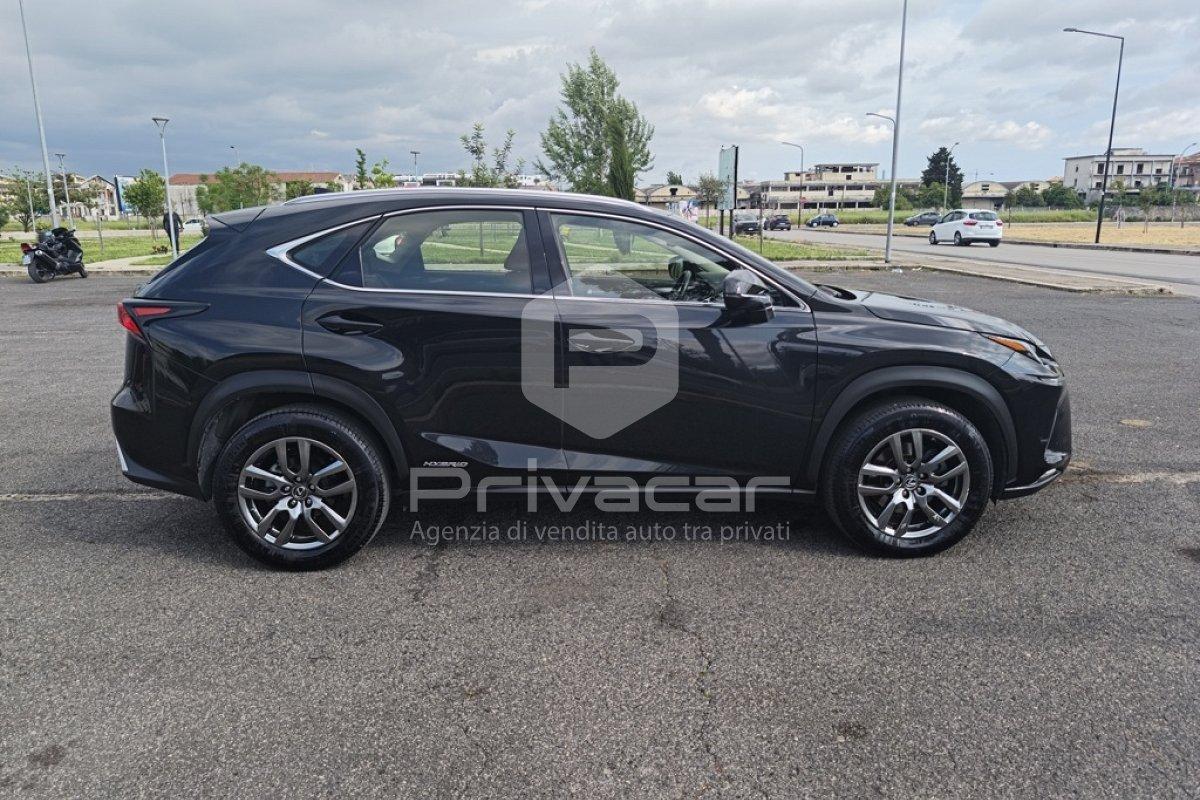 LEXUS NX Hybrid 4WD Executive