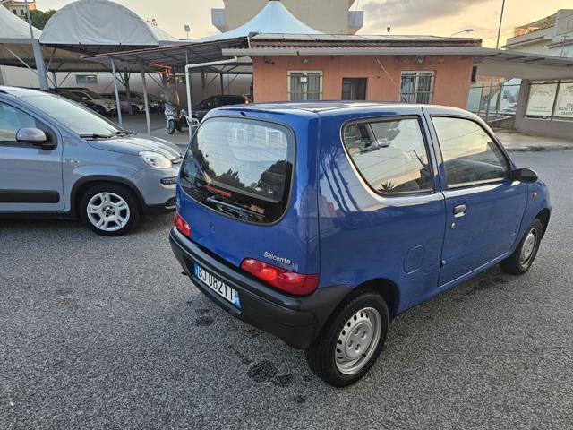 FIAT Seicento 900i cat Young