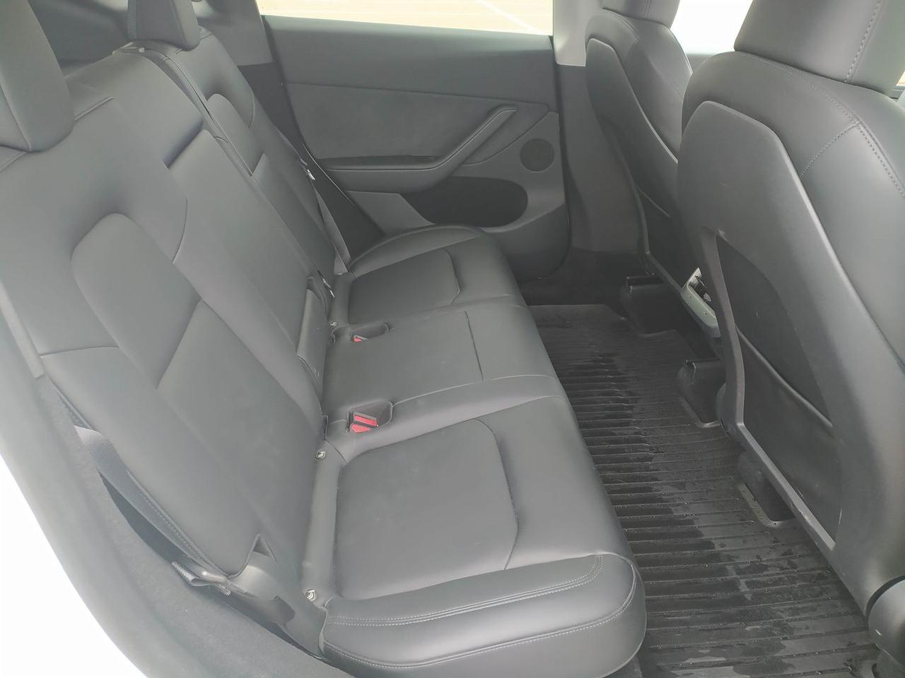 Tesla Model Y Standard Range / Standard #9113