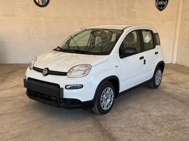 FIAT Panda III 2021 - Panda 1.0 firefly hybrid s&s 70cv