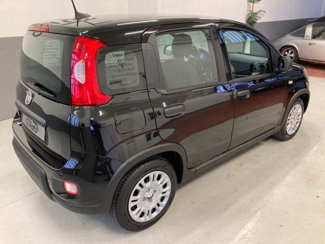 FIAT Panda 1.0 FireFly S&S Hybrid Pandina PROMO GTAUTO