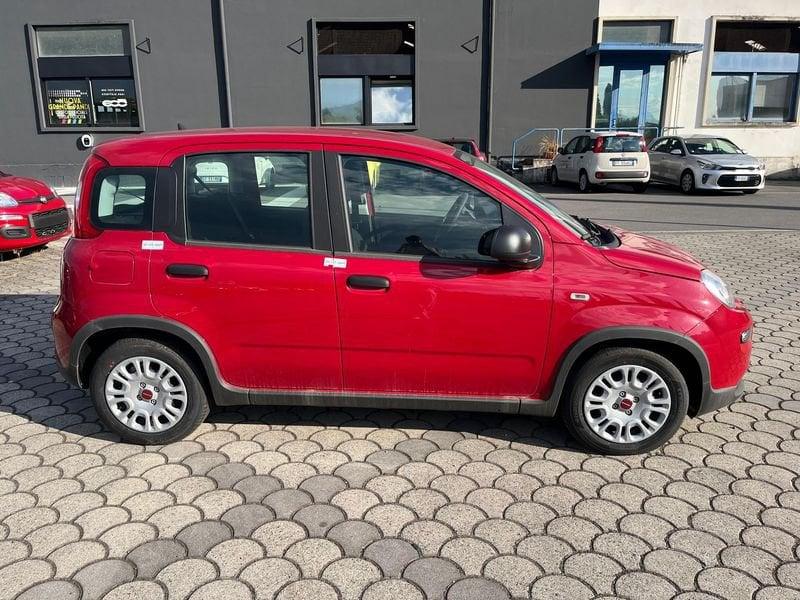 FIAT Panda Panda 1.0 FireFly S&S Hybrid