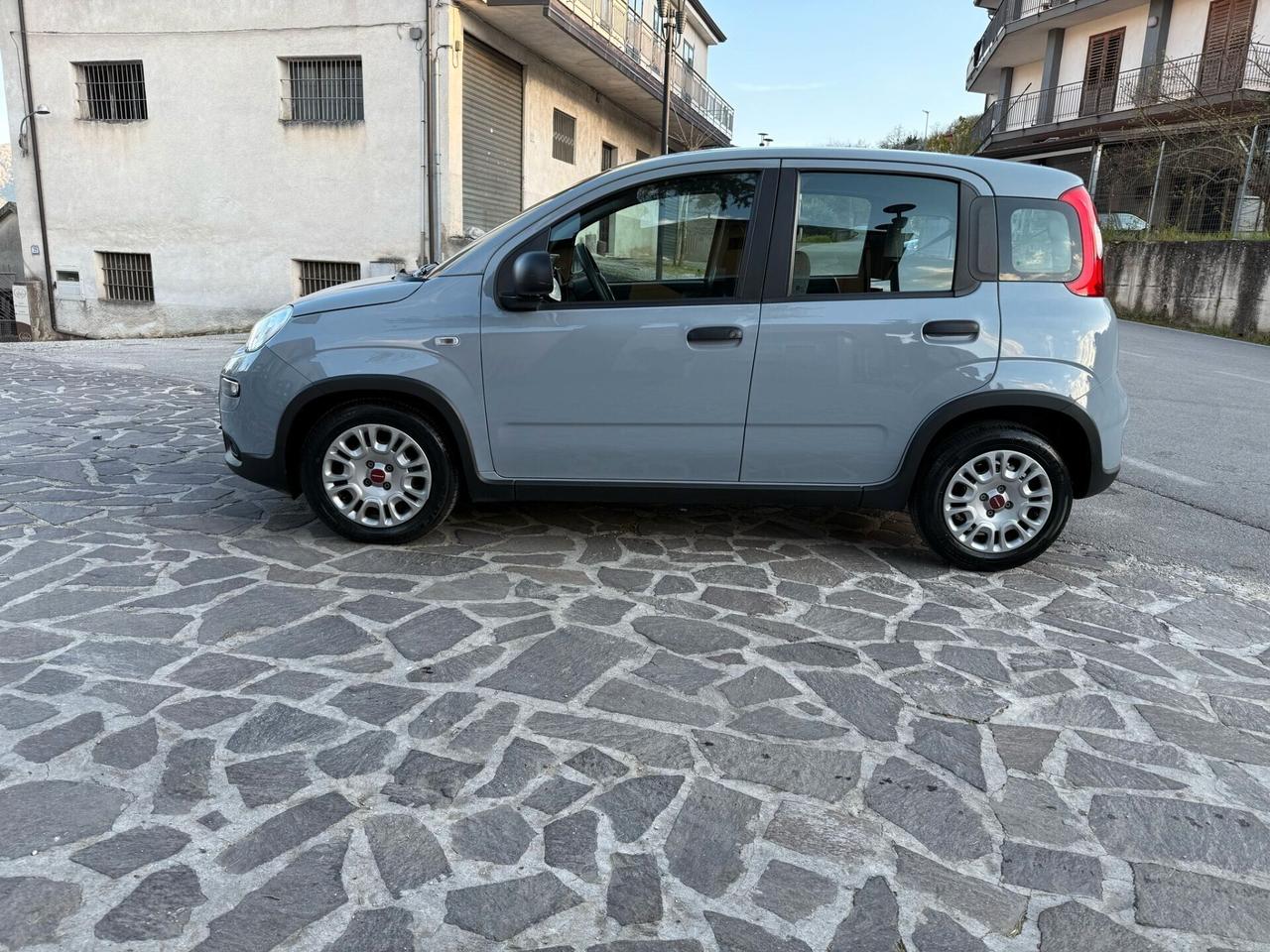 Fiat Panda 1000 Hybrid 70cv 2022