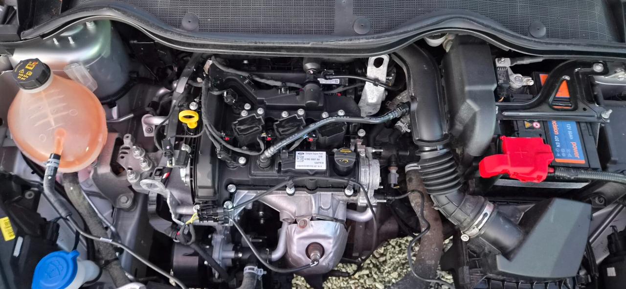 Ford Fiesta 1.1 85 CV 5 porte Titanium