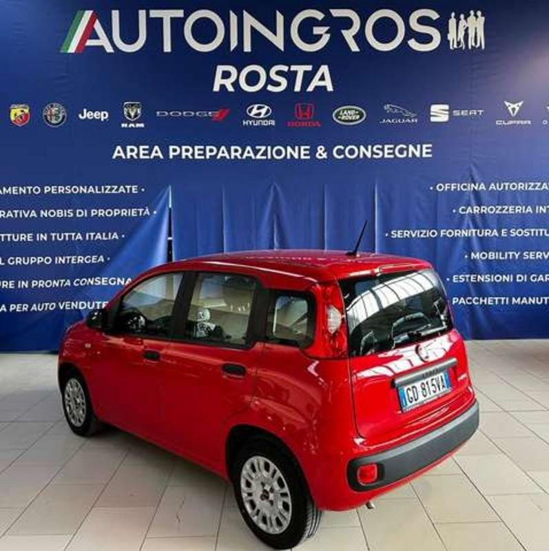 FIAT Panda 1.0 Firefly hybrid s&s 70 cv USATO GARANTITO