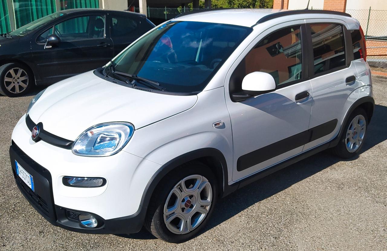 Fiat Panda 1.0 FireFly S&S Hybrid