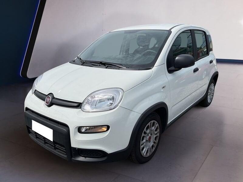 FIAT Panda My23 1.0 70cv Hybrid Panda