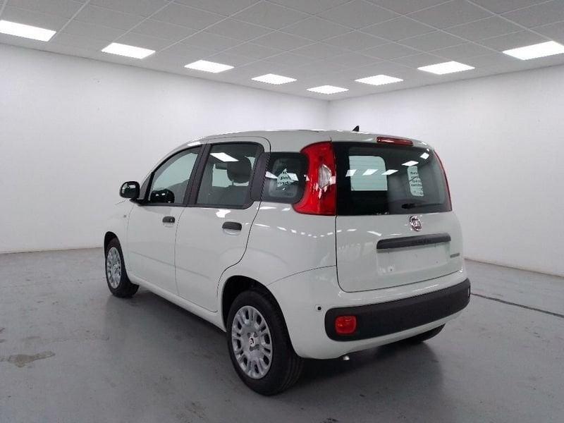 FIAT Pandina 1.0 firefly hybrid Pop s&s 70cv