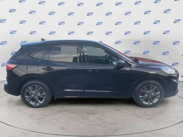 Ford Kuga 2.0 ecoblue ST-Line X 2wd 120cv auto