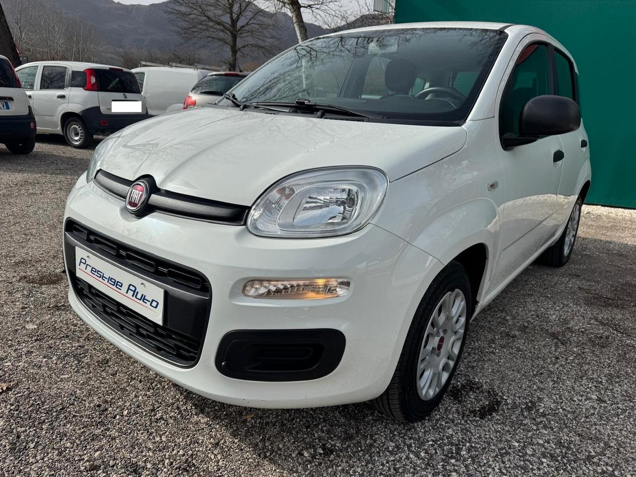 FIAT NEW PANDA 1.2 69CV 5 Posti E6 EASY