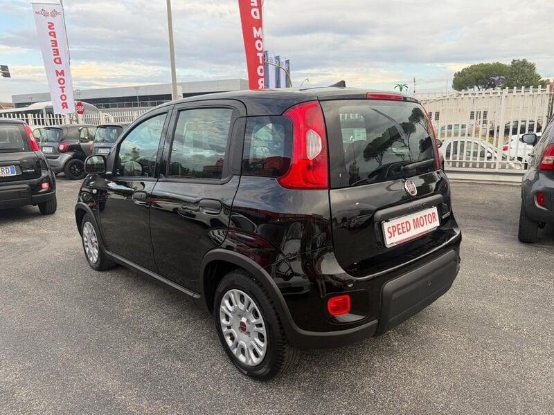 FIAT Panda Panda 1.0 firefly hybrid 70cv 5 POSTI, SENSORI PARCHEGGIO!