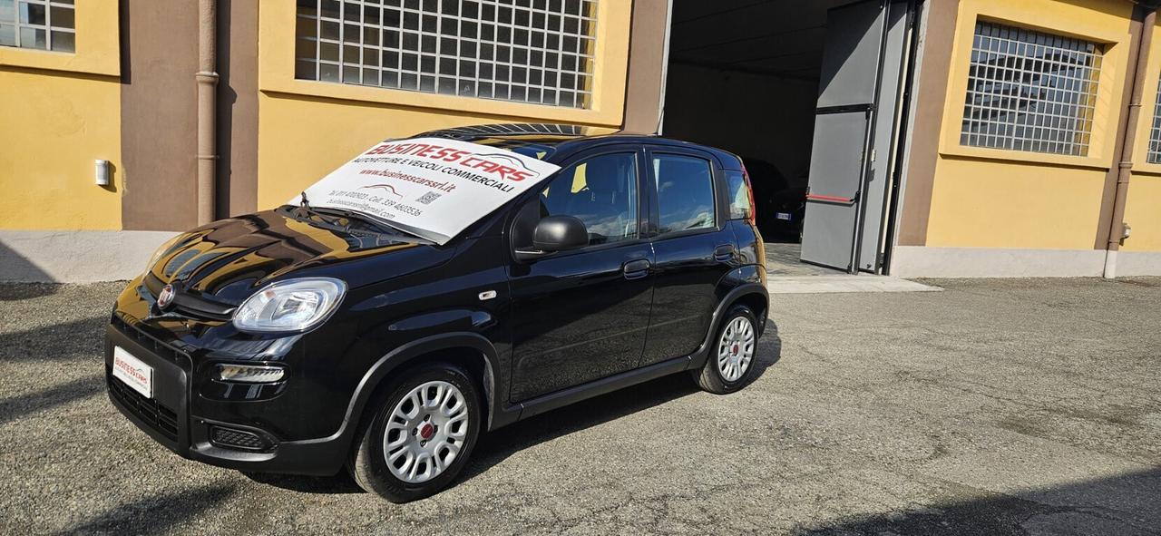 Fiat Panda 1.0 FireFly S&S Hybrid 70 CV KM. 15000 PRONTA CONSEGNA - AUTO PER NEOPATENTATI