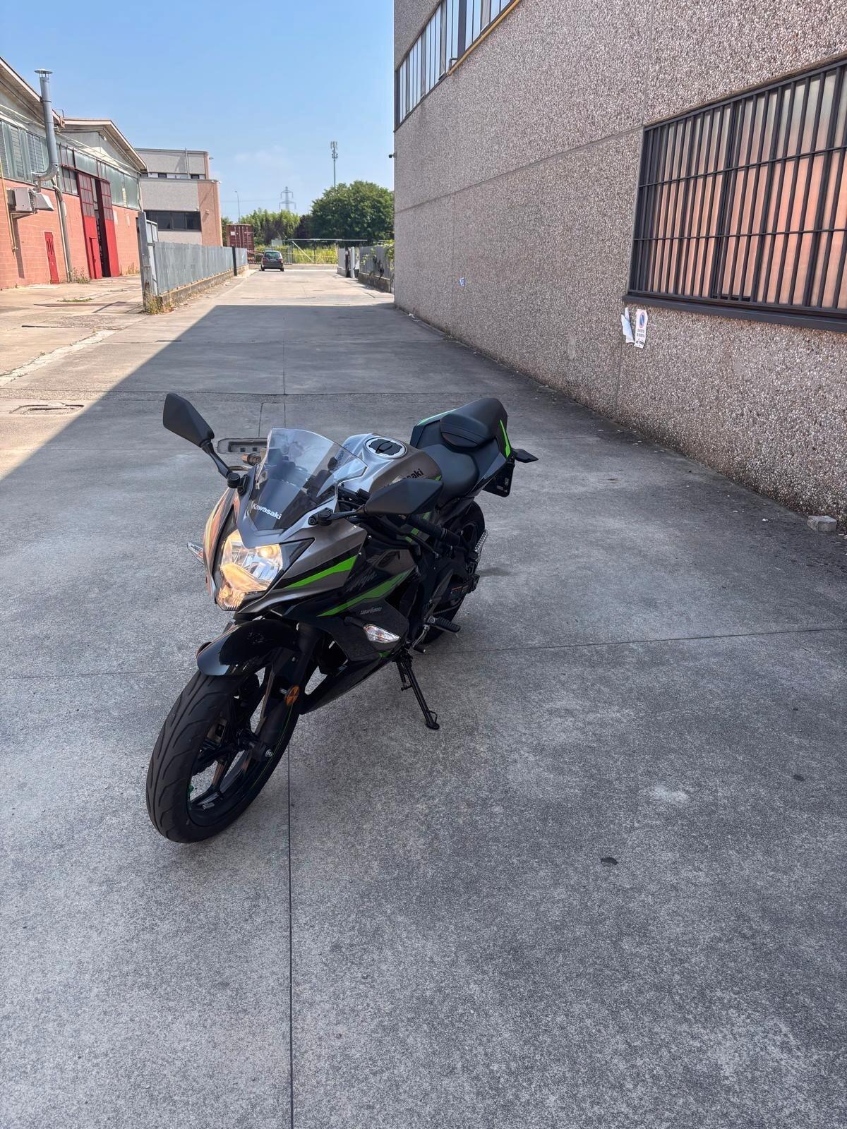 Kawasaki Ninja 125 Performance