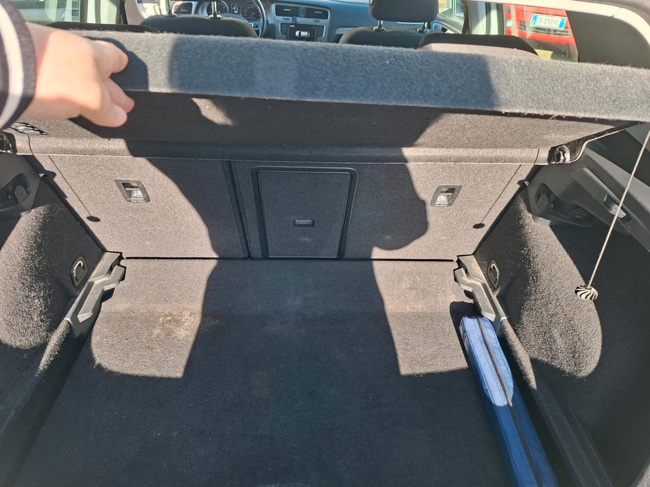 Volkswagen Golf 1.6 TDI 110 CV 5p. Business BlueMotion Technology