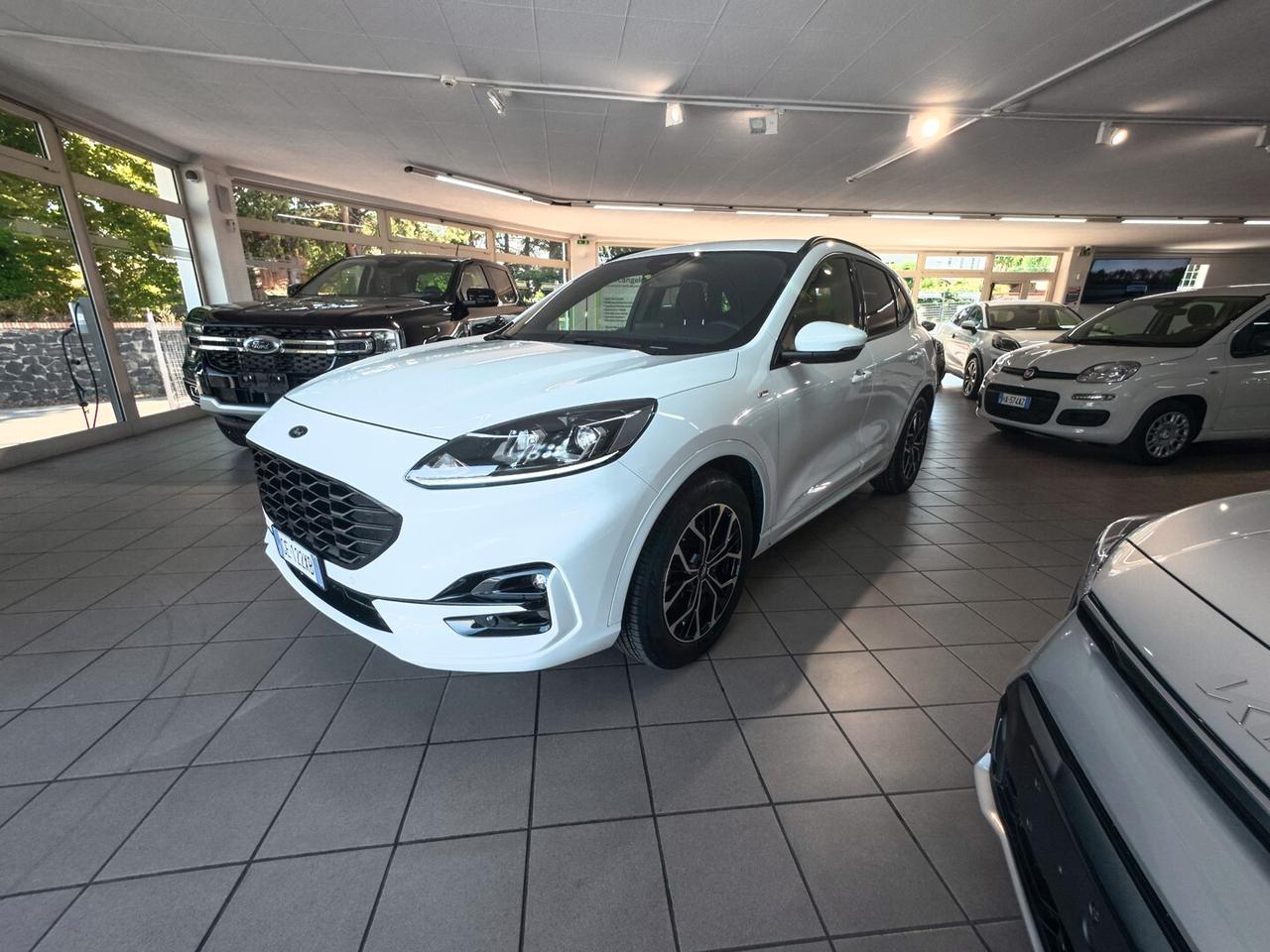 Ford Kuga 1.5 EcoBlue 120 CV 2WD ST-Line