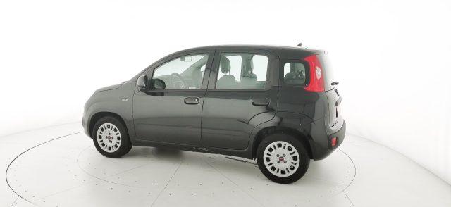 FIAT Panda 1.2 Easy - OK NEOPATENTATI