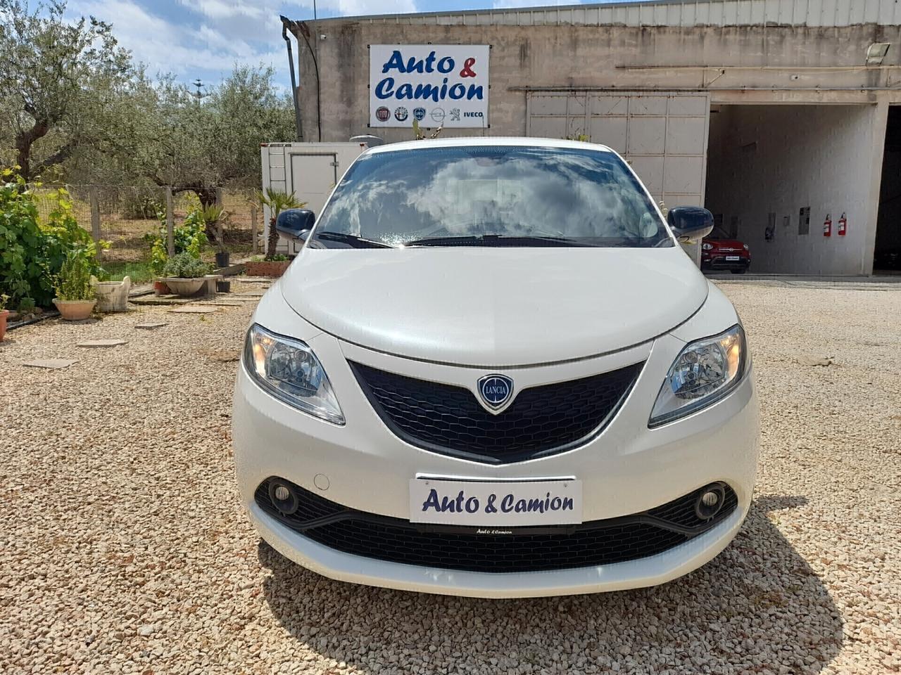 Lancia Ypsilon 1.2 69 CV 5 porte Gold 2019