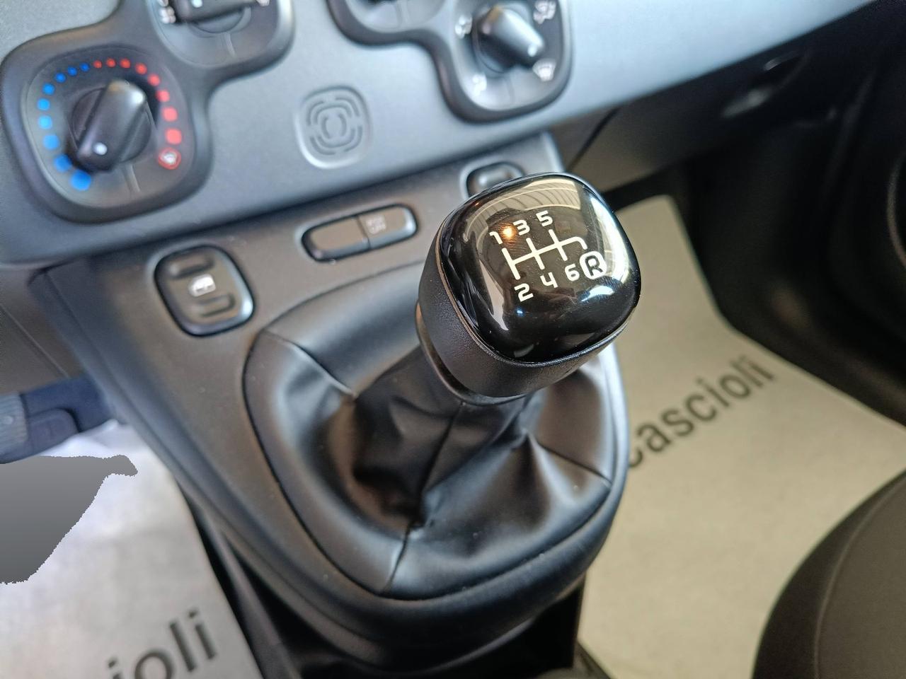 FIAT Panda III 2021 - Panda 1.0 firefly hybrid City Life s&s 70cv