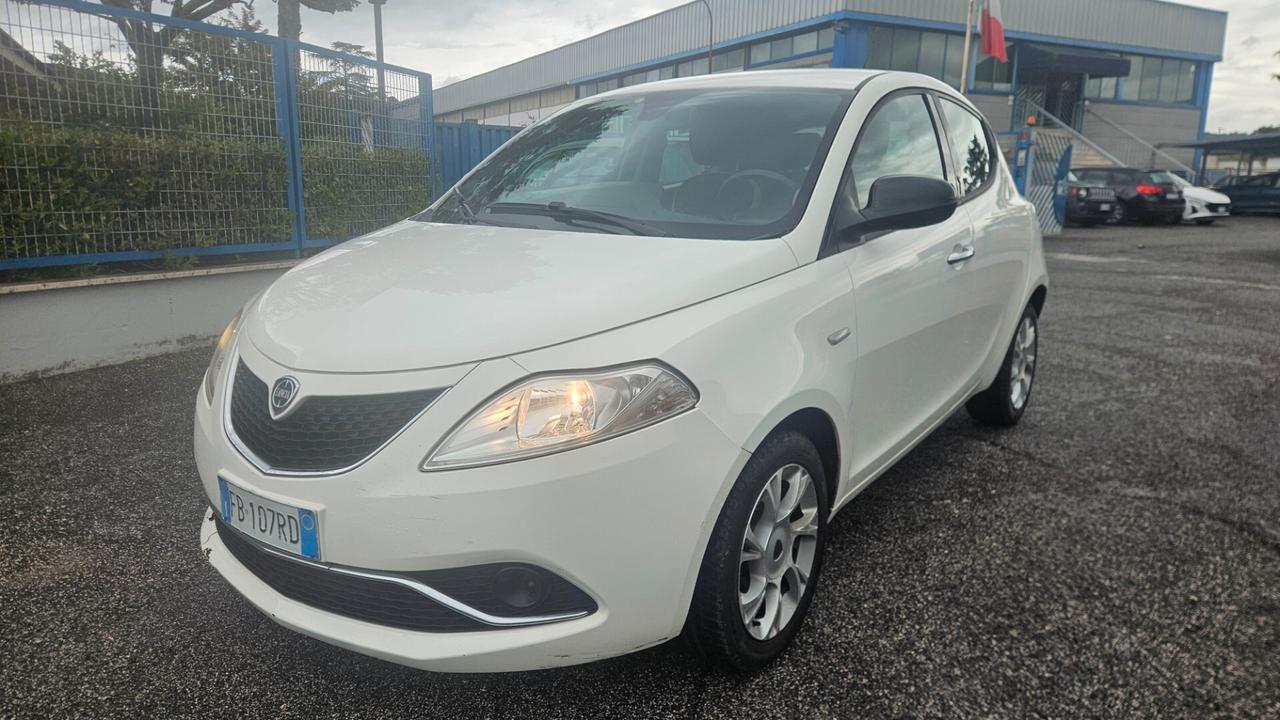 Lancia Ypsilon 1.3 MJT 16V 95 CV 5 porte S&S Platinum