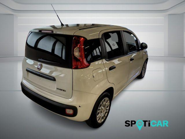 FIAT Panda Pandina Van Pop 1.0 Hybrid 65cv S&S -2 Posti