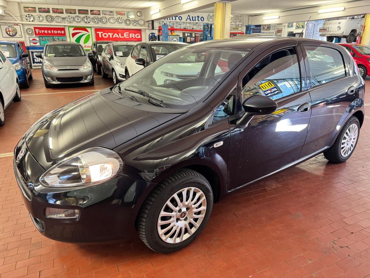 Fiat Punto 1.2 8V 5 porte Street