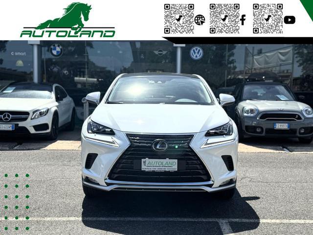 LEXUS NX 300 Hybrid 4WD Executive 155 CV