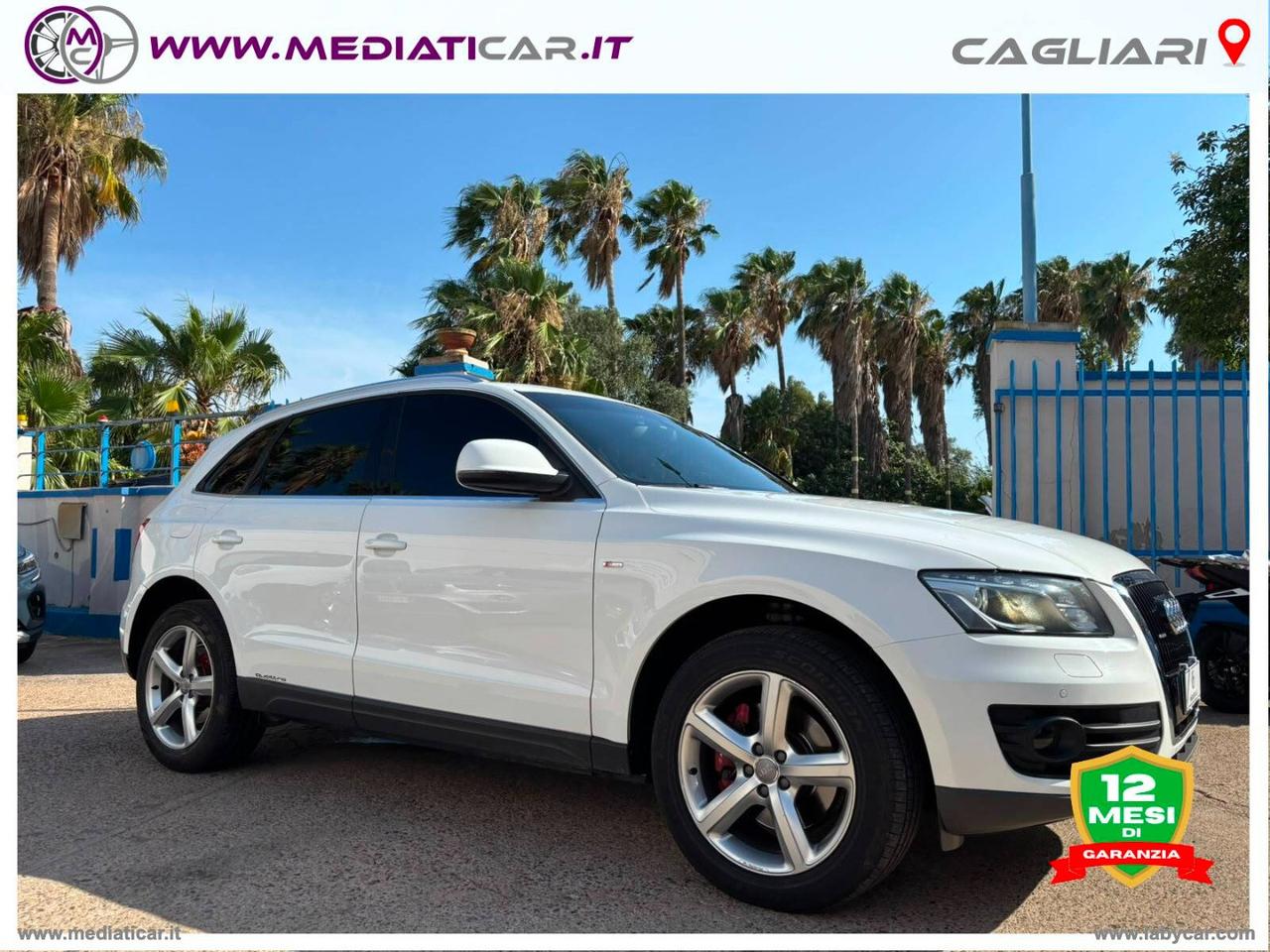 AUDI Q5 3.0 V6 TDI quattro S tr. Adv. Plus