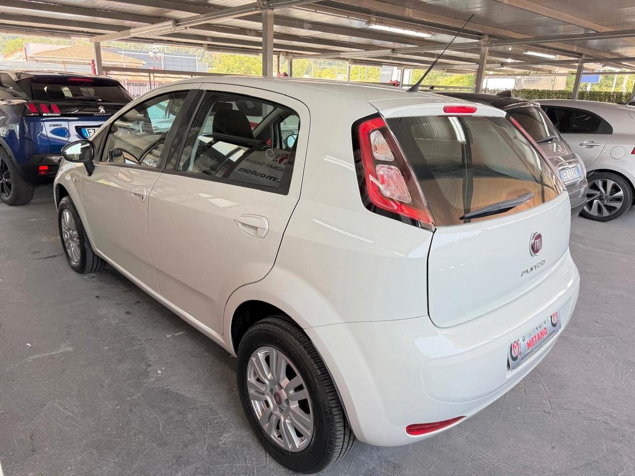 Fiat Punto 1.4 8V 5 porte Natural Power Lounge METANO
