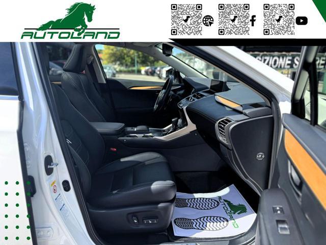 LEXUS NX 300 Hybrid 4WD Executive 155 CV
