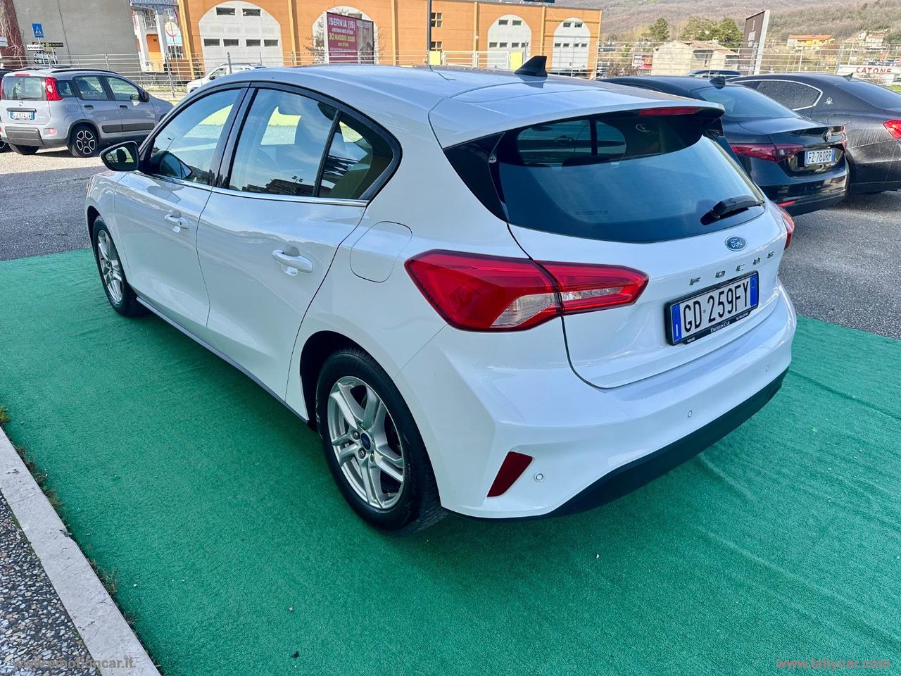 FORD Focus 1.5 EcoBlue 95CV 5p. Business AUTOCARRO N1 - 2020