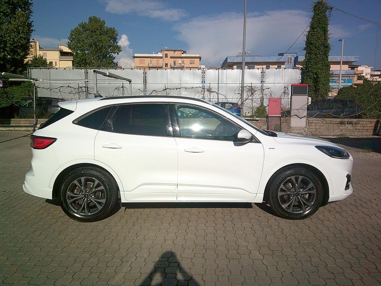 Ford Kuga 1.5 EcoBlue 120 CV aut. 2WD ST-Line*Prezzo Vero*Solo km 69000*