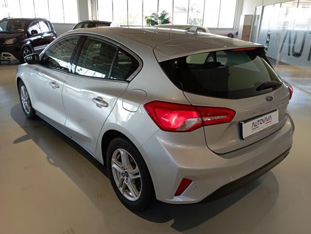 FORD Focus 1.5 EcoBlue 95 CV 5p. Plus