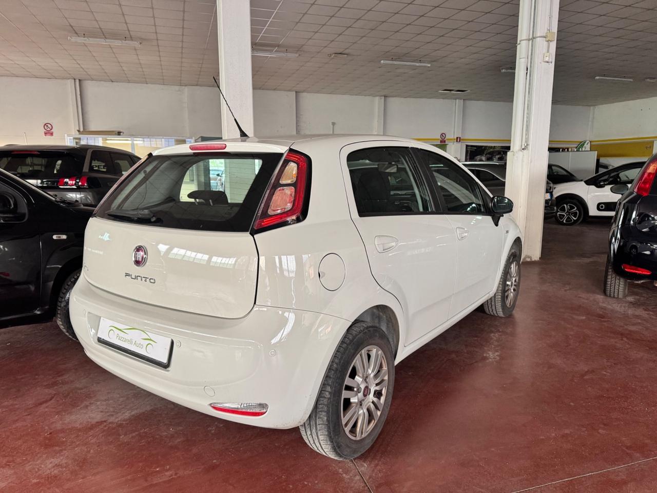 Fiat Punto 1.4 8V 5 porte Natural Power Lounge