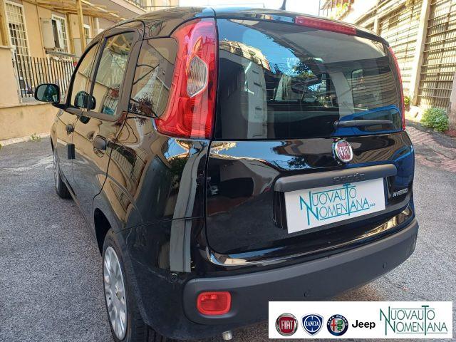 FIAT Panda 1.0 FireFly S&S Hybrid Icon 5°Posto Auto Nuova