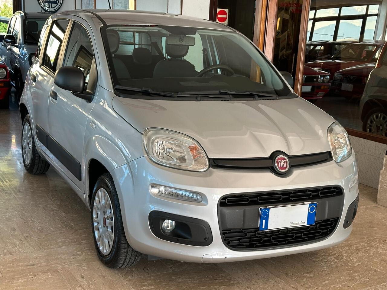 Fiat Panda New 1.2 69 cv. EASY (Autocarro 4 posti N1)