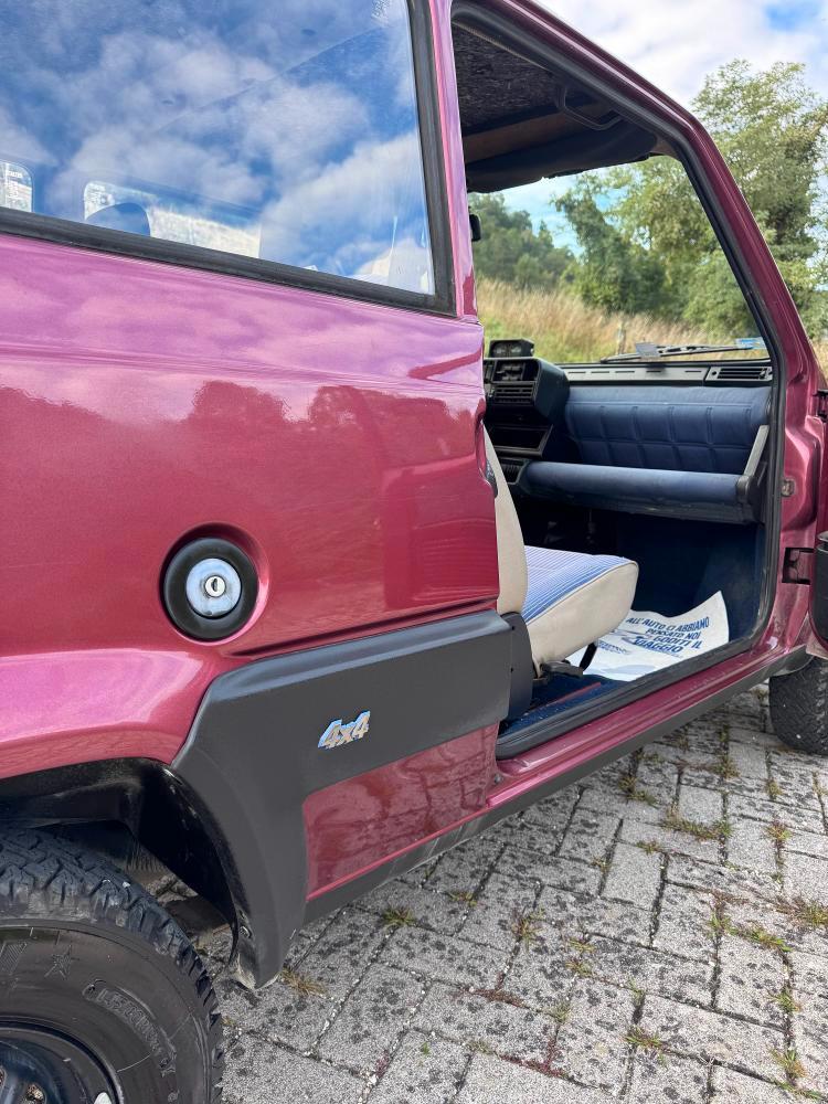 Fiat Panda 1.1 Fire Trekking 4x4 cat.