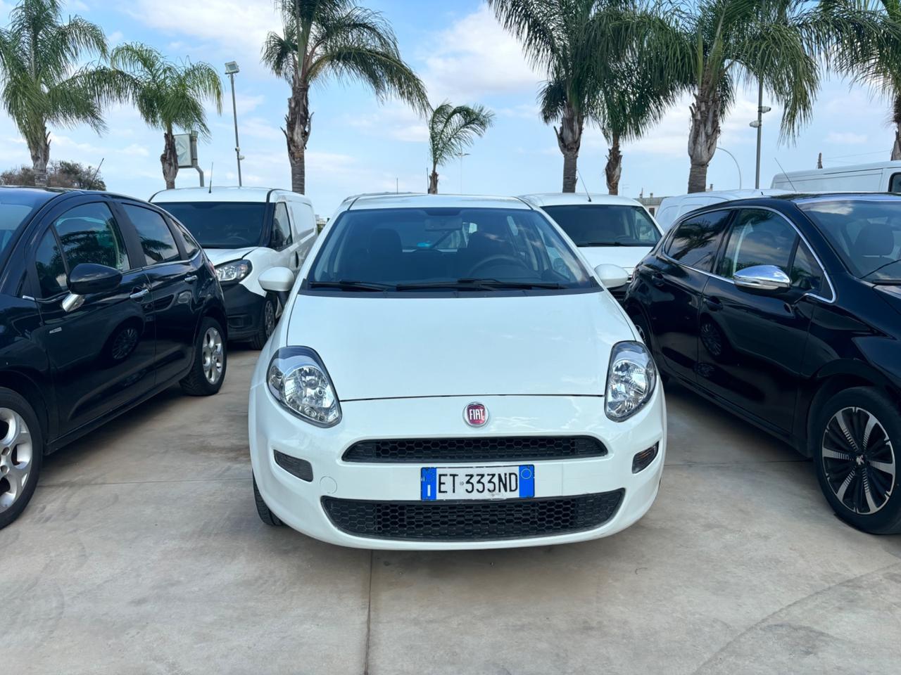 Fiat Punto 1.3 MJT II 75 CV 5 porte - 12/2013