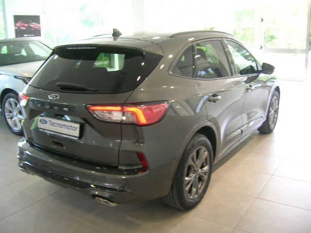 FORD Kuga ST-Line X 1.5 EcoBlue 120cv Automatica A8 2WD
