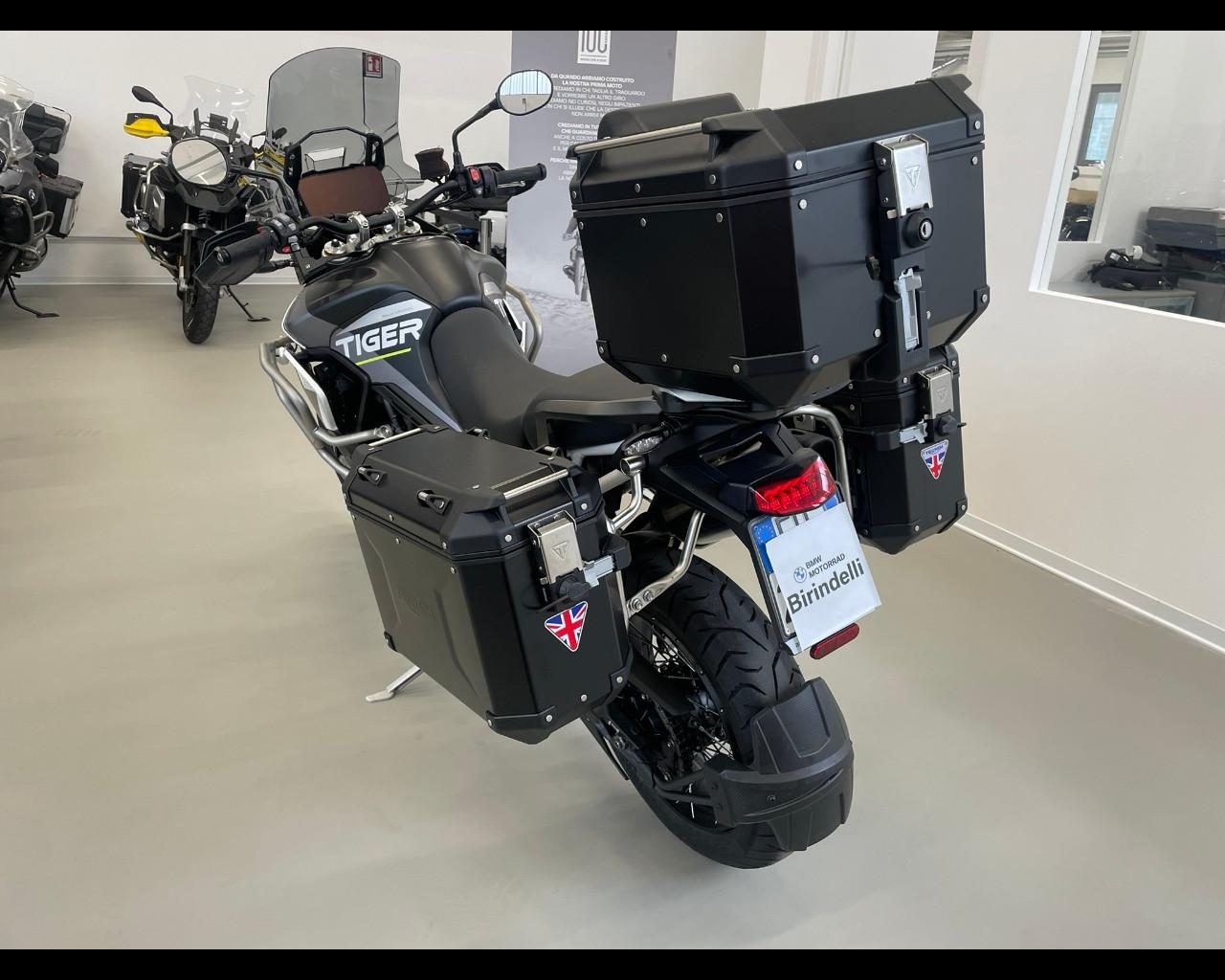 TRIUMPH Tiger 900 - Rally Aragòn Edition