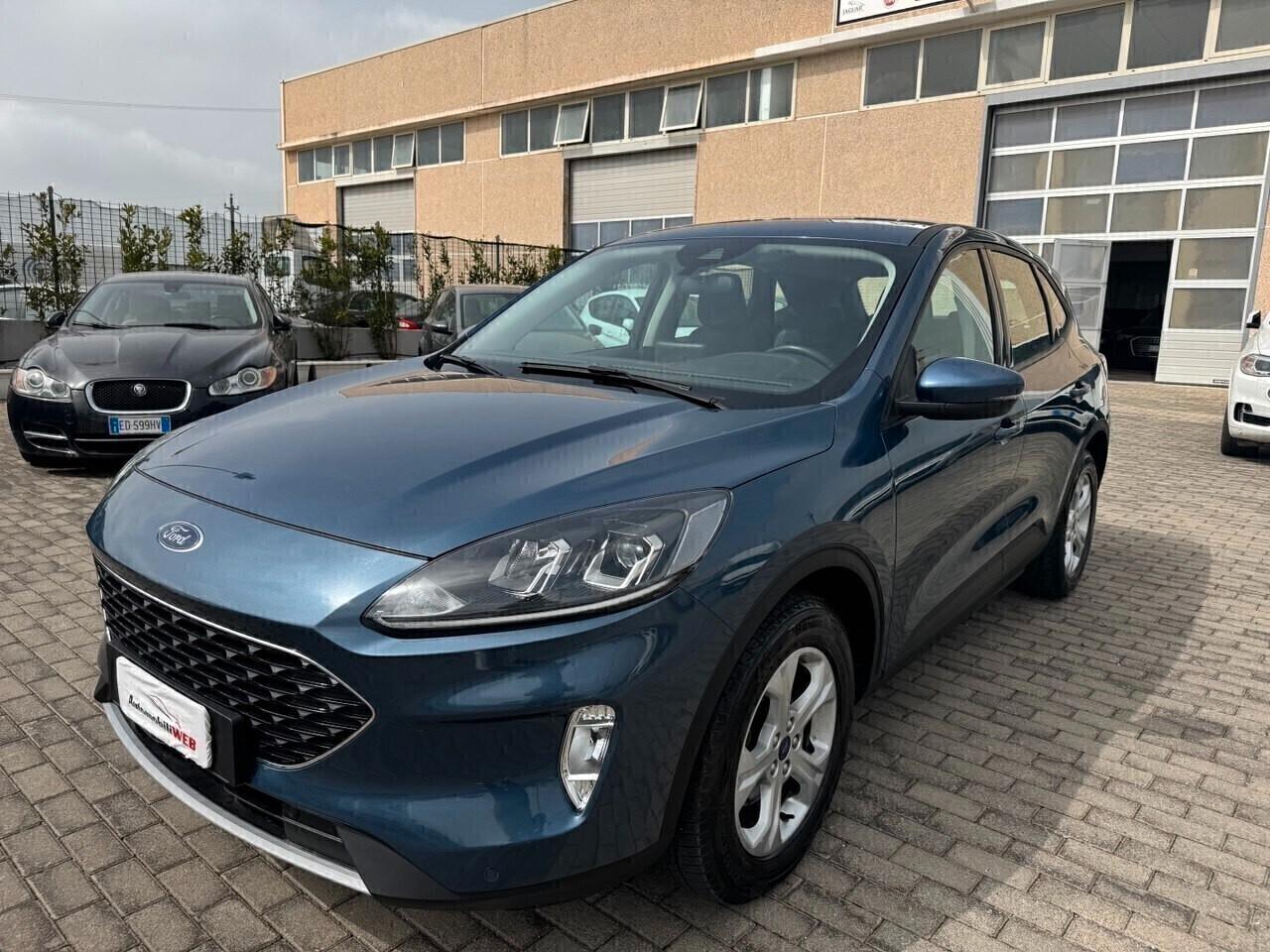 Ford Kuga 1.5 EcoBlue 120 CV 2WD Titanium